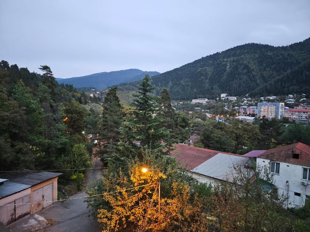 Guest House Likani 2017 Боржомі Номер фото